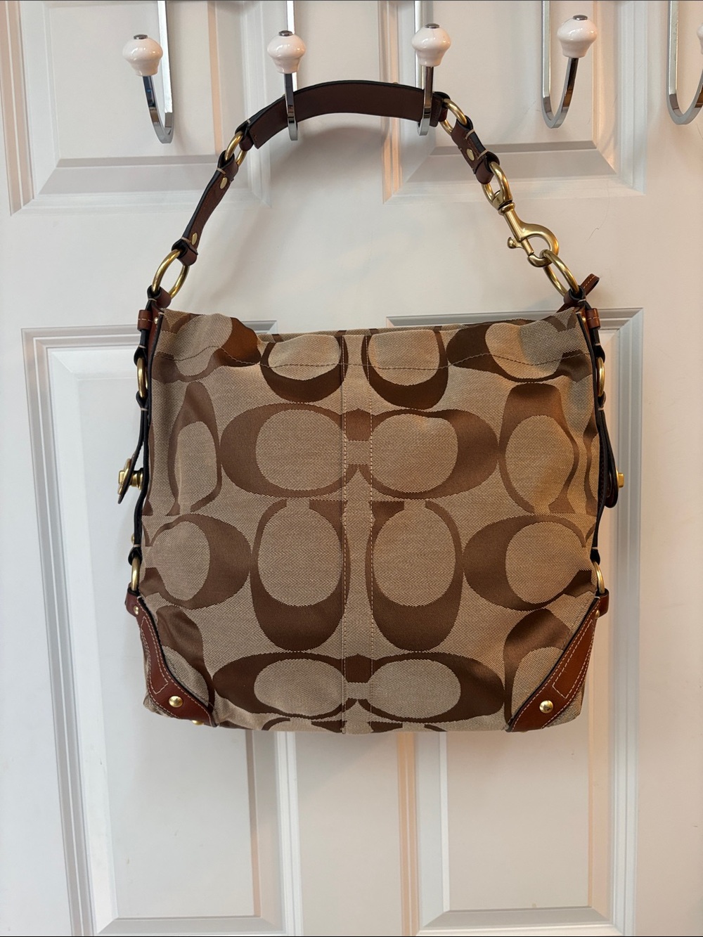 Coach Signature Carly Hobo Bag